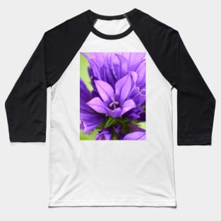 Campanula glomerata  Clustered bellflower Baseball T-Shirt